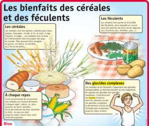 lpq34-les-bienfaits-des-cereales-et-des-feculents